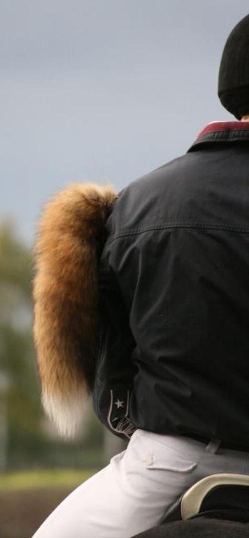 Fuchsmajor RV Albersloh