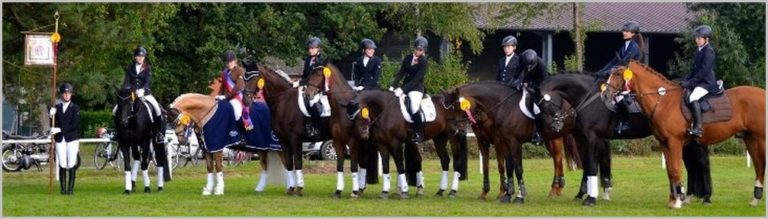 Erfolgreiche Titelverteidigung der Wanderstandarte des Kreises Warendorf