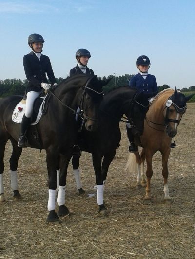 Sparkassen-Dressurpokal 2015