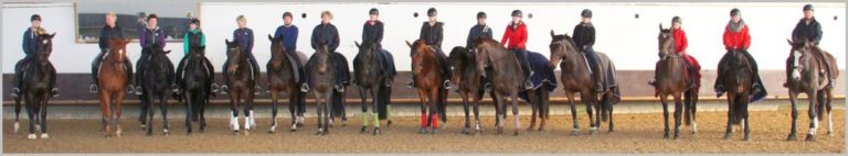 Trainingsauftakt Mannschaftstraining