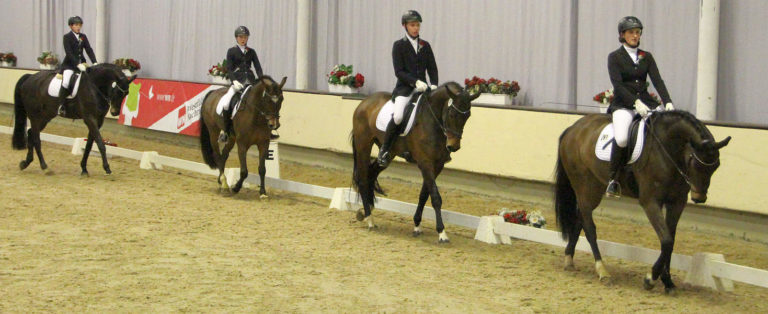 53. Jugend-Reit- und Springturnier in Handorf