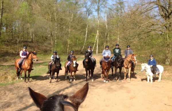 Gemeinsamer Ausritt!