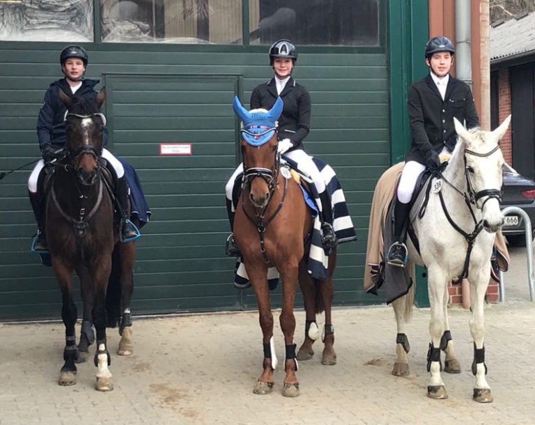 Gute Platzierungen der Albersloher Reiter