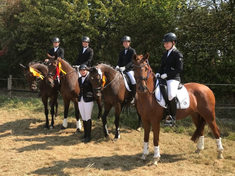 Erfolgreiche Turnierwochenenden