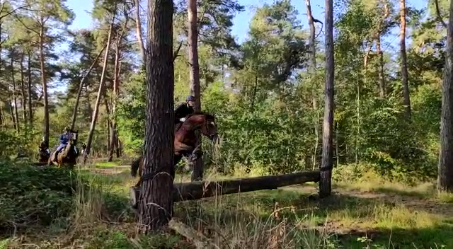 Erster und weiter Eindrücke vom Herbstausritt