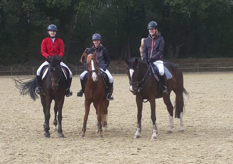 Einladung zur Fuchsjagd